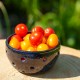 Bol à fruits bleu - Berry bowl