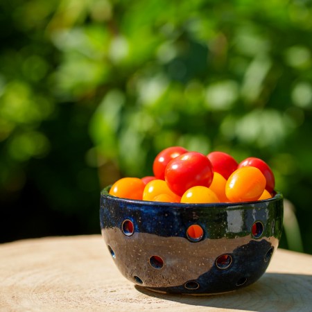 Bol à fruits bleu - Berry bowl